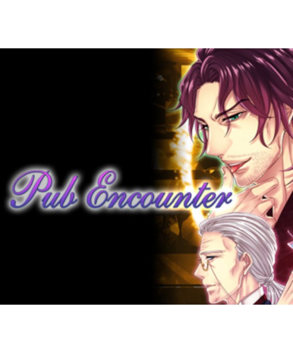 Pub Encounter Steam Key GLOBAL